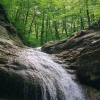 استخدام خانم