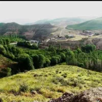 باغ-کنار-رودخونه