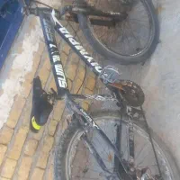 دوچرخه سالم|دوچرخه، اسکیت، اسکوتر|خفر, |دیوار