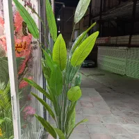 درختچه مصنوعی پرنده بهشتی زیر قیمت