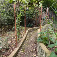 ویلادر روستای الندان|اجارهٔ کوتاهمدت ویلا و باغ|کیاسر, |دیوار