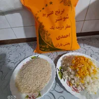 برنج عنبر بو شوشتر
