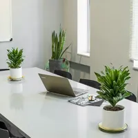 آموزش مکالمه زبان انگلیسی کاربردی آیلتس