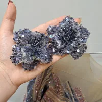 لباس مجلسی|لباس|سهند, |دیوار