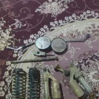 عروس هلندی کوتوله مرغ عشق|پرنده|مشهد, سپاد|دیوار