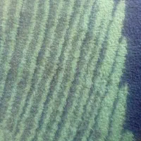 کار گر ساده هستم فرقی نمیکند