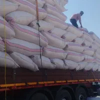 کاه گندم کردستان|لوازم جانبی حیوانات|زابل, |دیوار