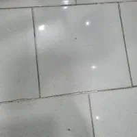 زمین-160-متری-تجاری-حاشیه-خیابان-دانشگاه