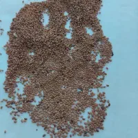 بذر یونجه|عمده‌فروشی|پارس‌آباد, |دیوار