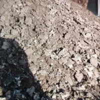 کود مرغی گوشتی مهاباد