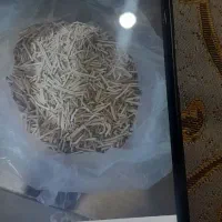 آش خونگی خام وتفت داده ولخشک