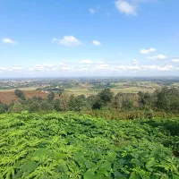 زمین ۲۰۰ متری لاهیجان چسبیده به بافت مسکونی|فروش زمین و ملک کلنگی|لاهیجان, آهندان|دیوار