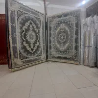 فرش عمو ارزانی|فرش|گرگان, |دیوار