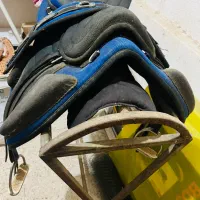 زین اسب|اسب و تجهیزات اسب‌سواری|کوهسار (البرز), |دیوار