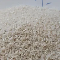 برنج|خوردنی و آشامیدنی|اردبیل, |دیوار