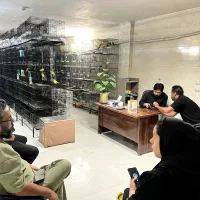 قفس بزرگ طوطی قناری کوتوله گرینچیک هشتخوان باپایه|لوازم جانبی حیوانات|مشهد, راه آهن|دیوار