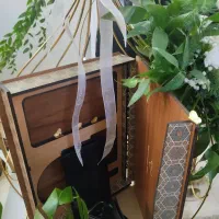 تزیین طبق بله‌برون و گل‌آرایی شیک و خاص|خدمات پذیرایی، مراسم|ری, جوانمرد قصاب|دیوار