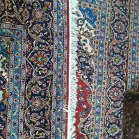 فرش ۱۲ متری|فرش|شیراز, سرو|دیوار