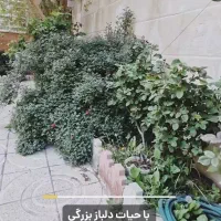 اجاره اپارتمان / ۱۴۰ متر / سه خواب / دانشکده|اجارهٔ آپارتمان|ارومیه, |دیوار