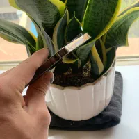 iphone 13 pro max|موبایل|ارومیه, |دیوار