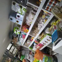 فروش انواع پرنده و ملزومات طوطی در مهرگان|پرنده|محمدیه-قزوین, |دیوار