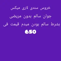 خروس|حیوانات مزرعه|سراوان, |دیوار
