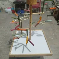 قفس چوبی دست ساز و پارک طوطی زیبا