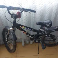 دوچرخه هوگان
