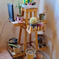 پایه گل