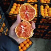 پرتقال نارنگی نارنج