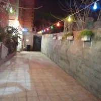 سویت رو به جنگل