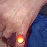 مرجان  دریایی ک آب میزنی بهش روشن میشه زنده هست