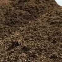 کود گوسفندی اشترینان