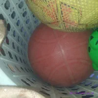 اسباب بازی قیمت مناسب سالم تنوع بالاتوافقی|اسباب‌بازی بچه|گلبهار, شهر جدید گلبهار|دیوار