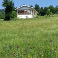 اجاره زمین  ۷ هکتاری با استخر