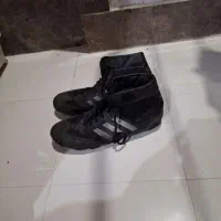 کفش و دوبنده کشتی