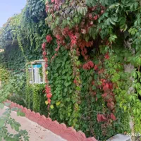 زمین ۱۶متری شهرک شهرداری قابل ساخت