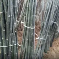 جشنواره تخفیف برای کشاورزان فرصت را ازدست ندهید
