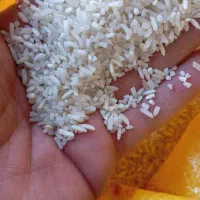 برنج سر لاشه هاشمی|خوردنی و آشامیدنی|پاکدشت, شهرک انقلاب|دیوار