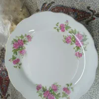 بشقاب گلسرخی نو شش عدد و مقداری دیس و بشقاب انگشتی