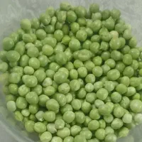 نخودفرنگی سبز و تازه