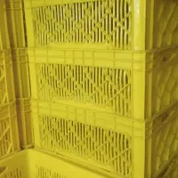 قفس حمل مرغ گرم 2 کیلویی مواد نو