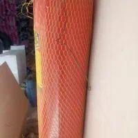 کپسول اتش نشانی
