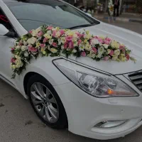 گلفروشی گلگشت بیابانی
