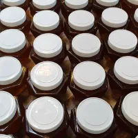 عسل آذربایجان