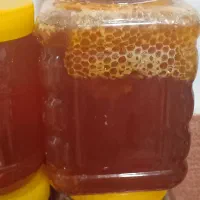 عسل بهاره به شرط خالص
