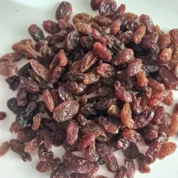 فروش مویز وانواع کشمش|عمده‌فروشی|اسلام‌شهر, شهرک مهدیه|دیوار