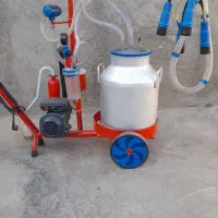 شیر دوش گاو