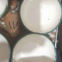 کاسه لعابی قدیمی|کلکسیون اشیاء عتیقه|بروجرد, |دیوار