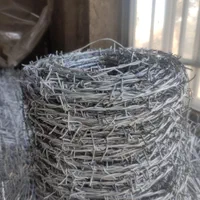 فنس و پایه نو سیم خاردار  و توری مرغی و فرنگی|خدمات باغبانی و درختکاری|مبارکه, |دیوار